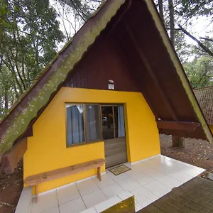 Dos Alpes , Treze Tílias Brasil